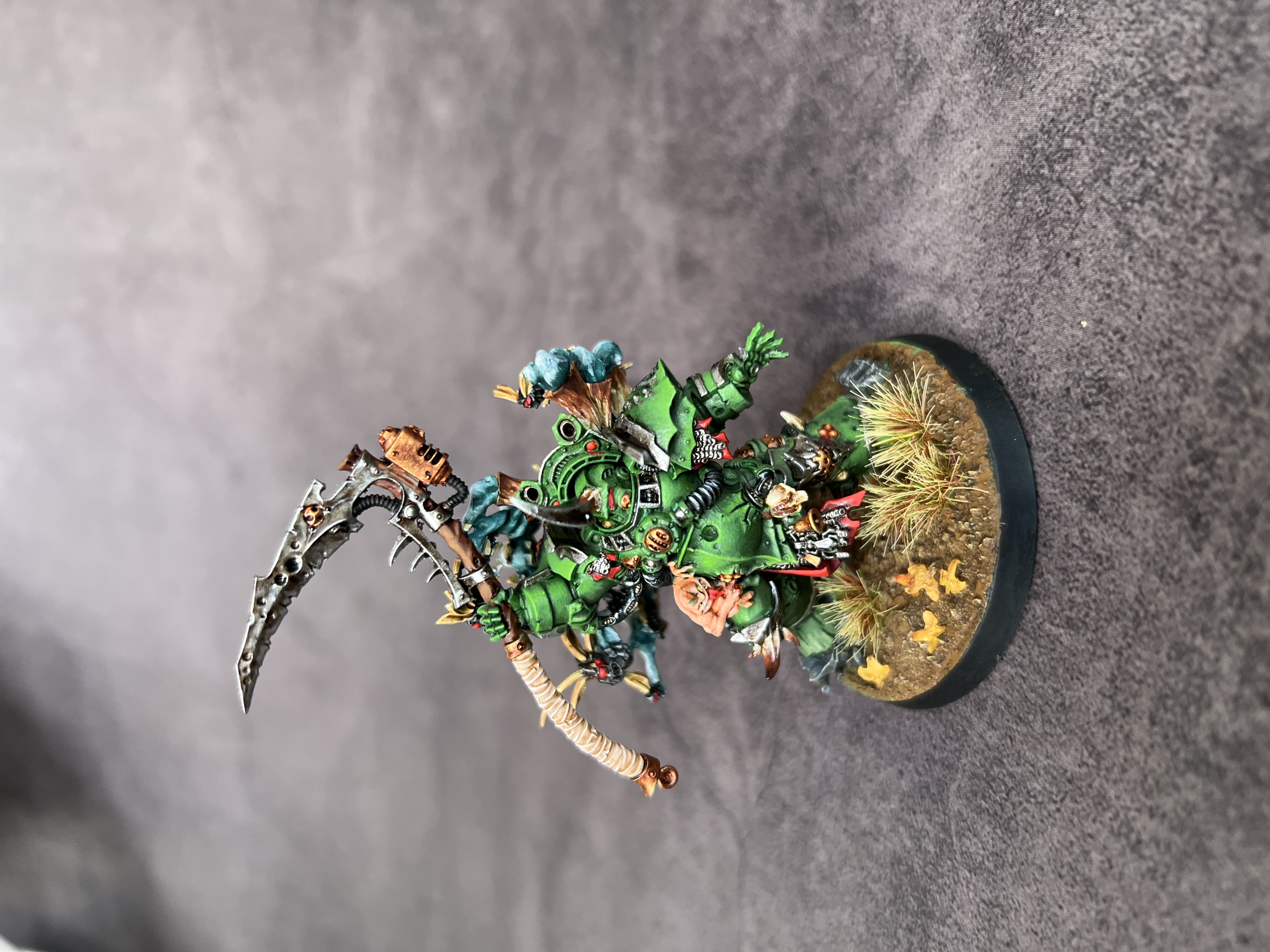 Typhus - Image 4