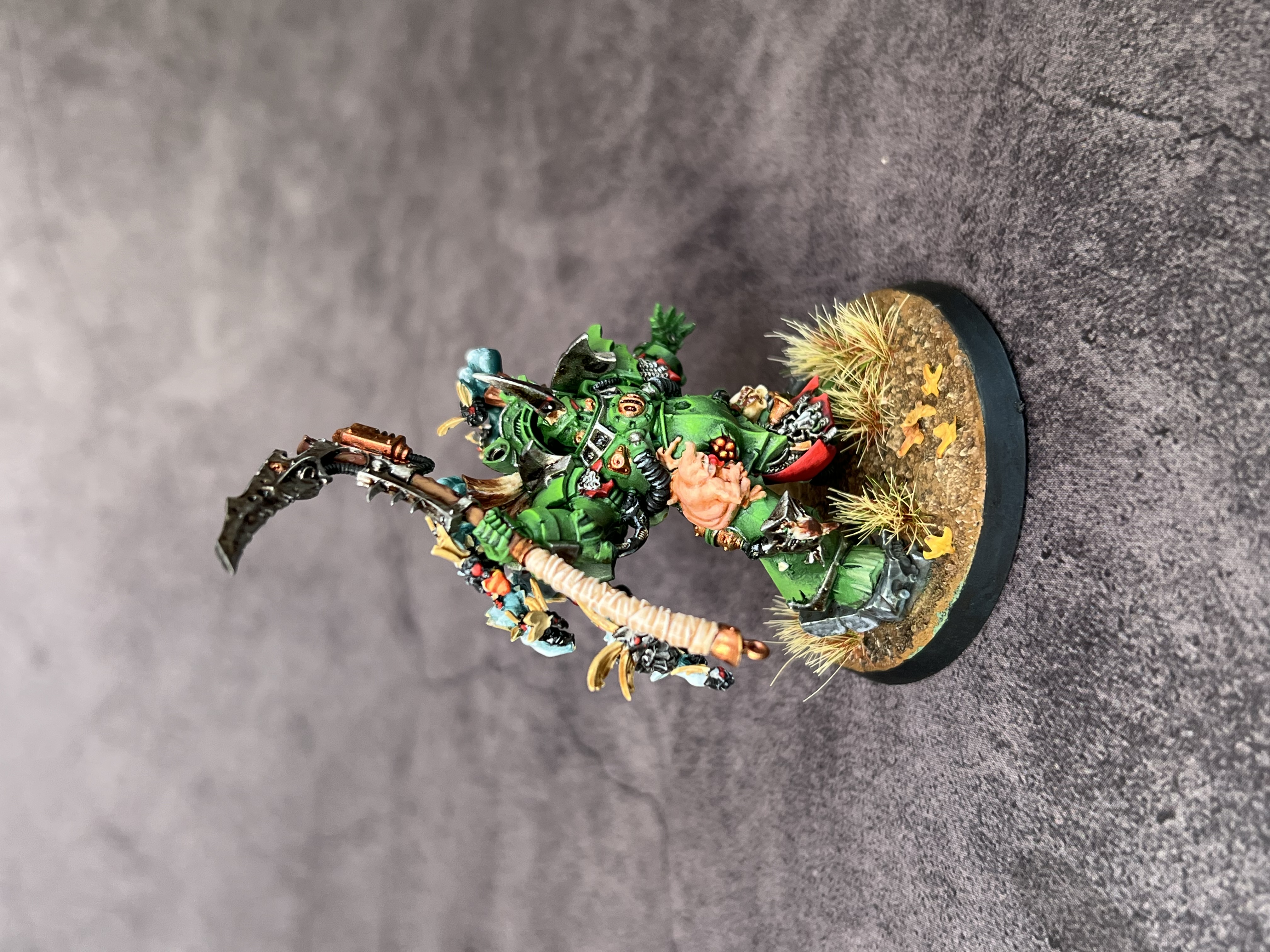 Typhus - Image 6