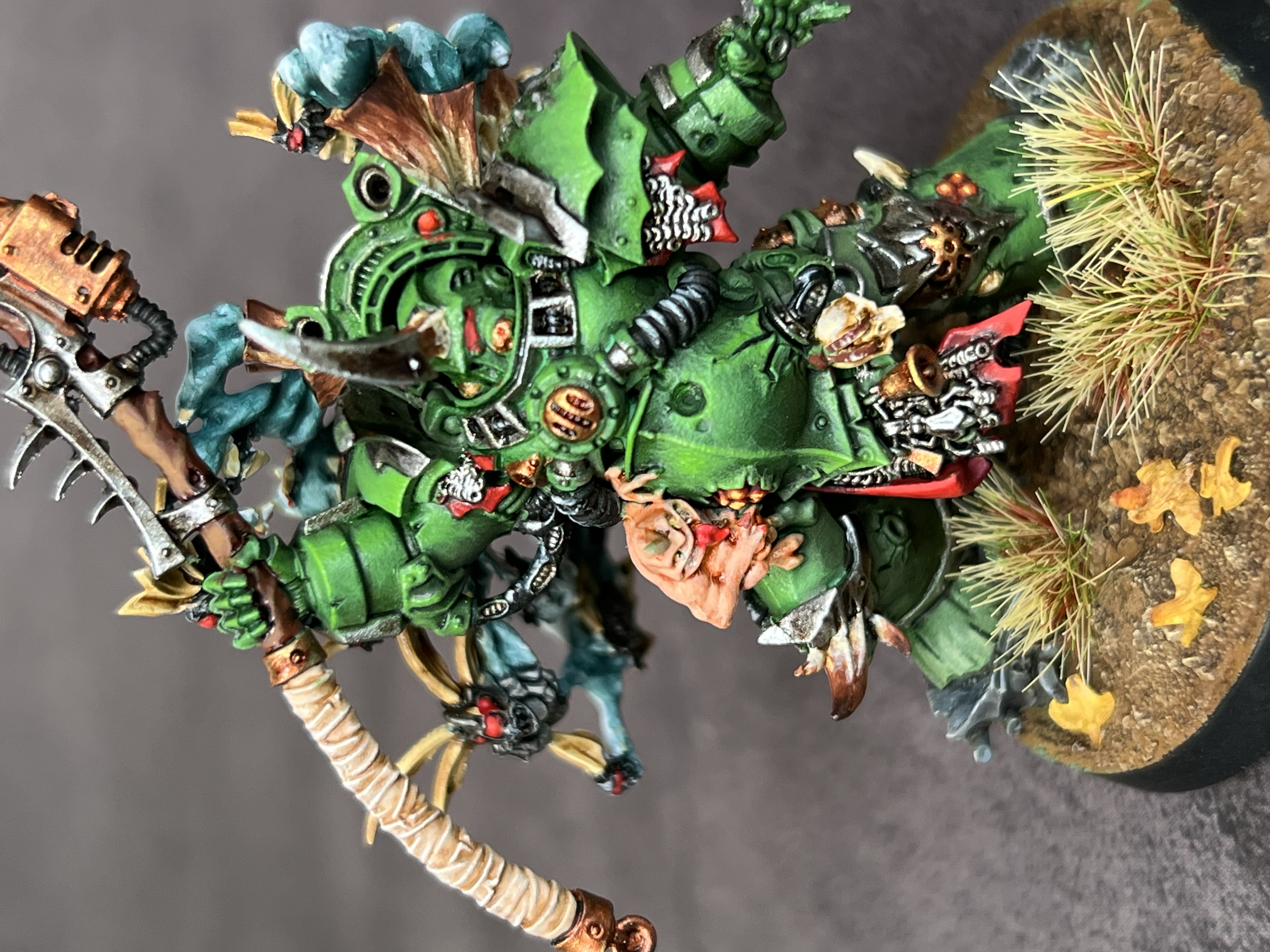 Typhus - Image 9